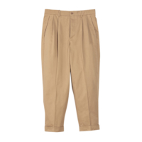 San Joaquin Cotton Chino Pleated TrousersiBeigej